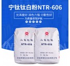湖南株洲专业供应金红石型宁钛钛白粉NTR-606